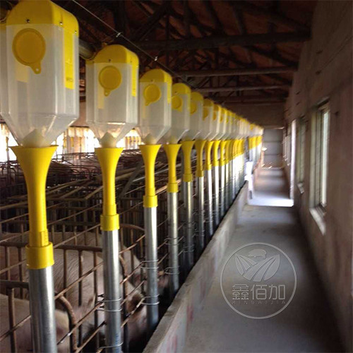 邹平市俊平养猪场安装母猪舍料线工程