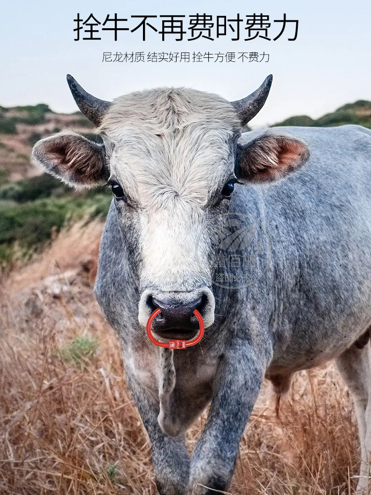 免安装钳牛鼻环