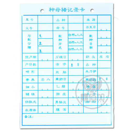 种母猪记录卡