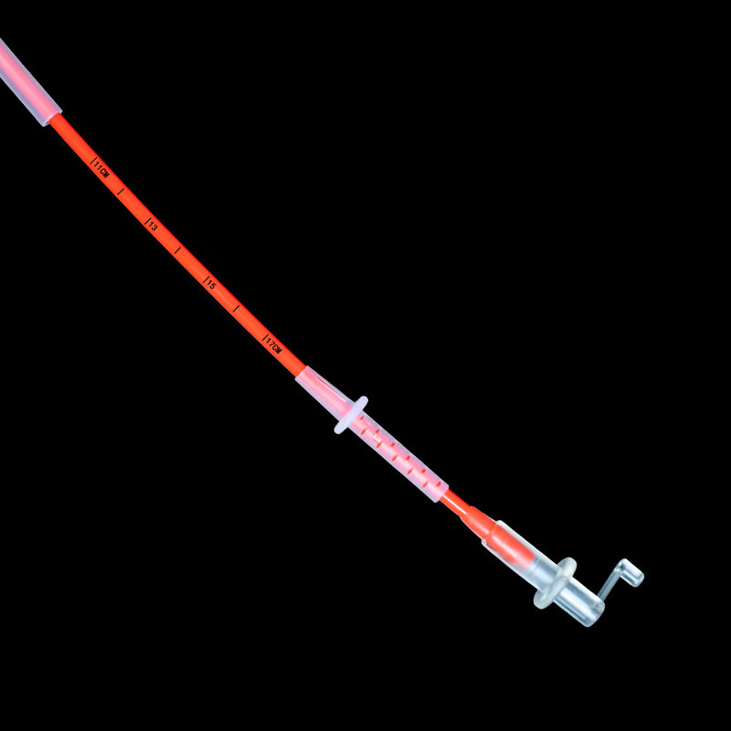 软头深部输精管