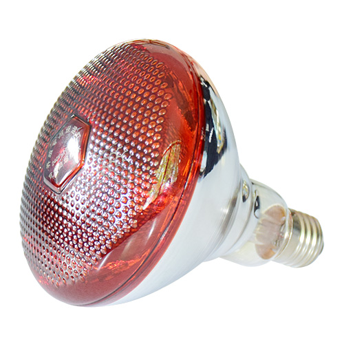 猪场设备厂家分析养猪设备控温的做法