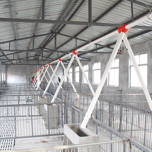 济南长清猪场整体布局和料线安装工程