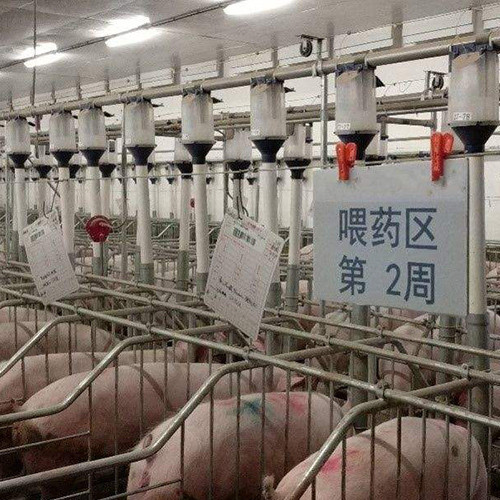 河南省正阳种猪场鑫佰加畜牧设备合作项目