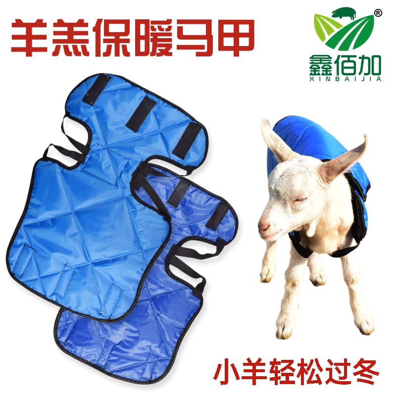 加厚小羊马甲