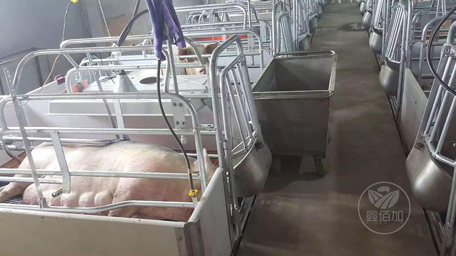 瀹㈡埛鏉ヨ璇︽儏妯℃澘6.jpg 瀹㈡埛鏉ヨ璇︽儏妯℃澘6.jpg