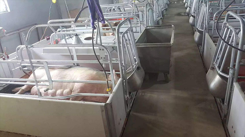 850 (2).jpg 850 (2).jpg