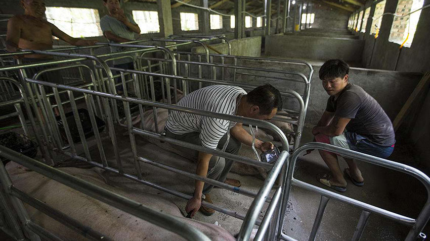 850 (1).jpg 850 (1).jpg