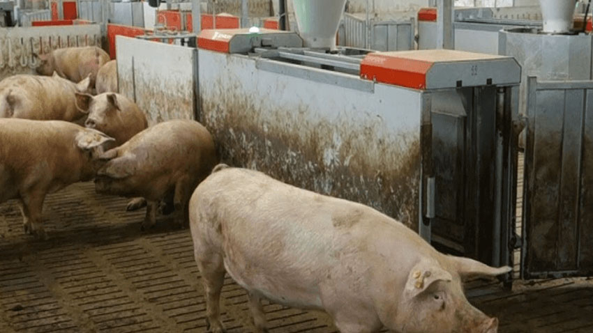 850 (4).jpg 850 (4).jpg