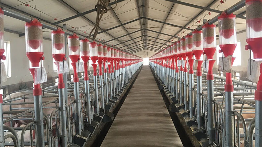 850 (3).jpg 850 (3).jpg