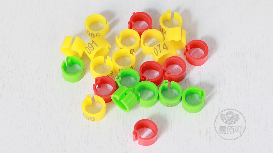 楦藉瓙鑴氱幆璇︽儏椤?(1).jpg 楦藉瓙鑴氱幆璇︽儏椤?(1).jpg