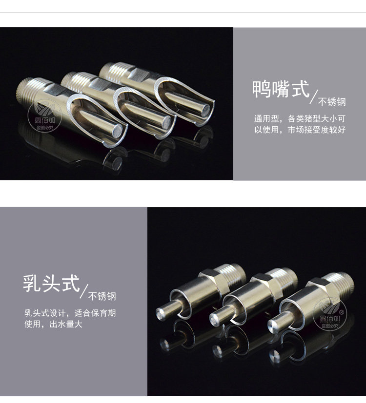 鐚按鍢碅A璇︽儏椤?(4).jpg
