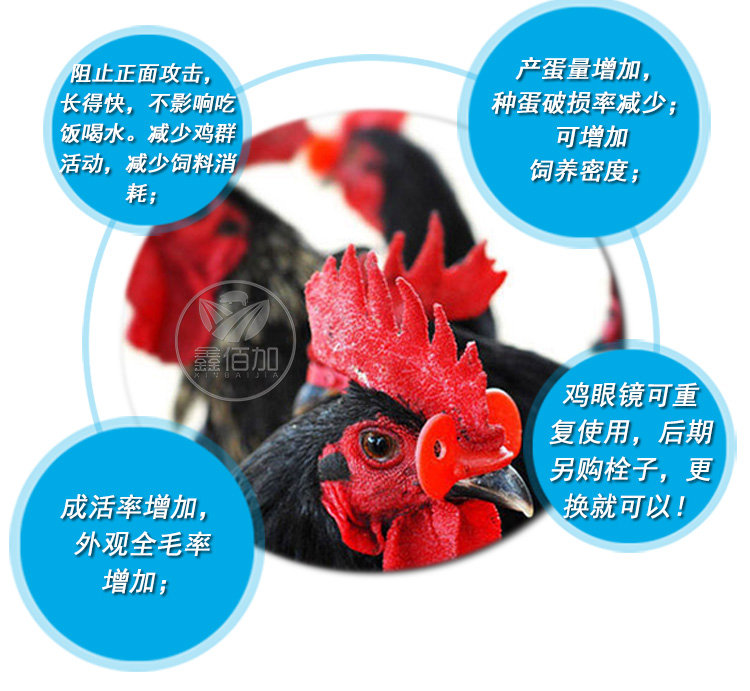 楦$溂闀淎A璇︽儏椤?(4).jpg 楦$溂闀淎A璇︽儏椤?(4).jpg