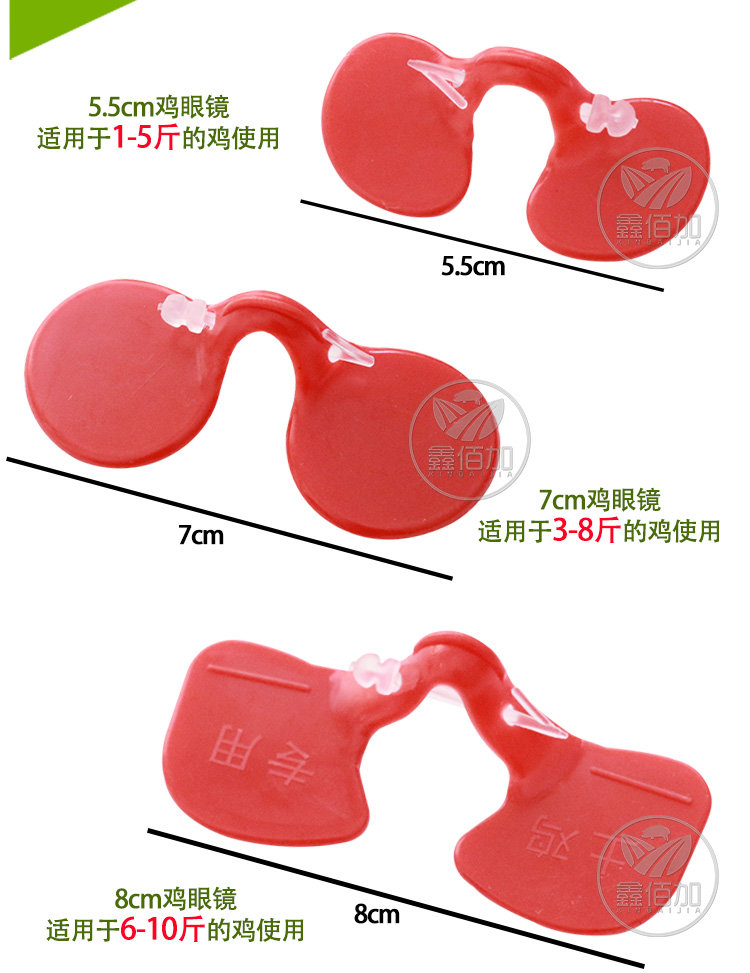 楦$溂闀淎A璇︽儏椤?(6).jpg 楦$溂闀淎A璇︽儏椤?(6).jpg