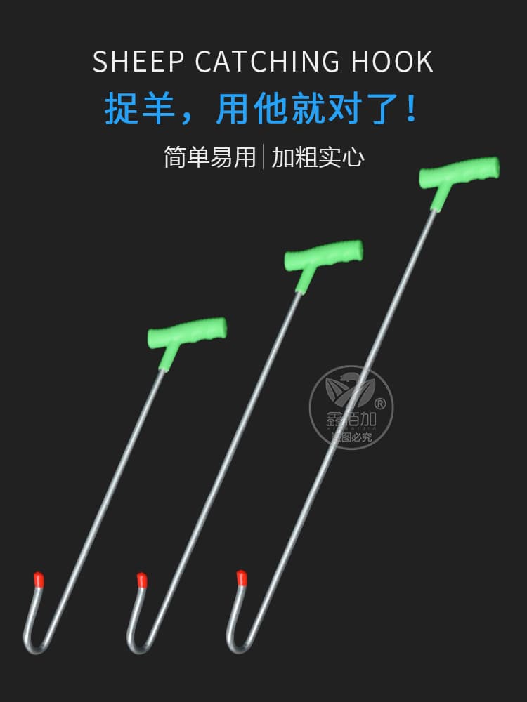 鎶撶緤閽〢璇︽儏椤?(1).jpg 鎶撶緤閽〢璇︽儏椤?(1).jpg